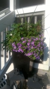 Mixed Herb & Floral Planter