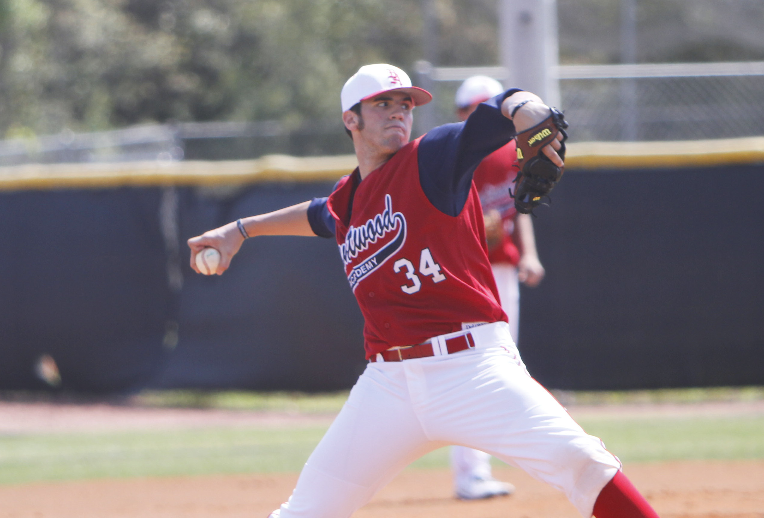 Williamson Co Players Make All-State Baseball Team - Williamson Source