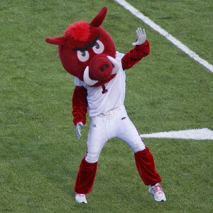 Arkansas Mascot