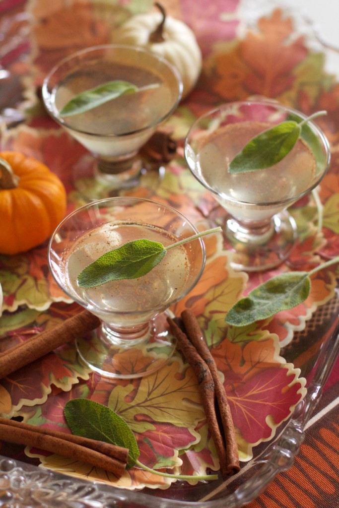 Autumn Cocktail 2, Angela Roberts