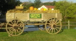 Gentry's Farm