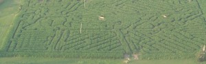 Rippavilla Corn Maze