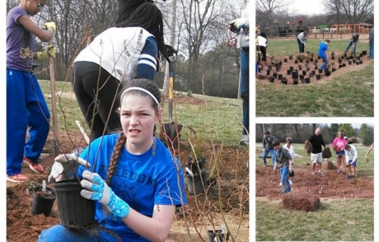 Rain Garden Pinkerton Park Rain Garden Pinkerton Park