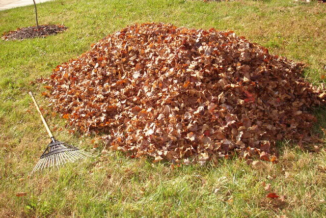 Leaf Pickup in Franklin Scheduled for November 17th - Williamson Source