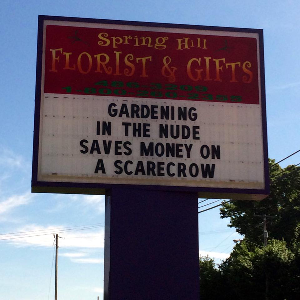 spring hill florist and gifts sign