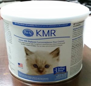 kmr milk replacement kittens