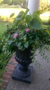 Formal Porch Urn