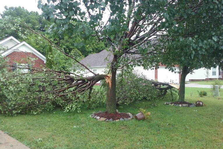 Scene Around Town: Spring Hill Storm Damage - Williamson Source