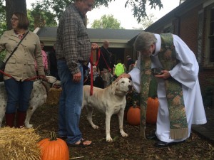 animal blessing