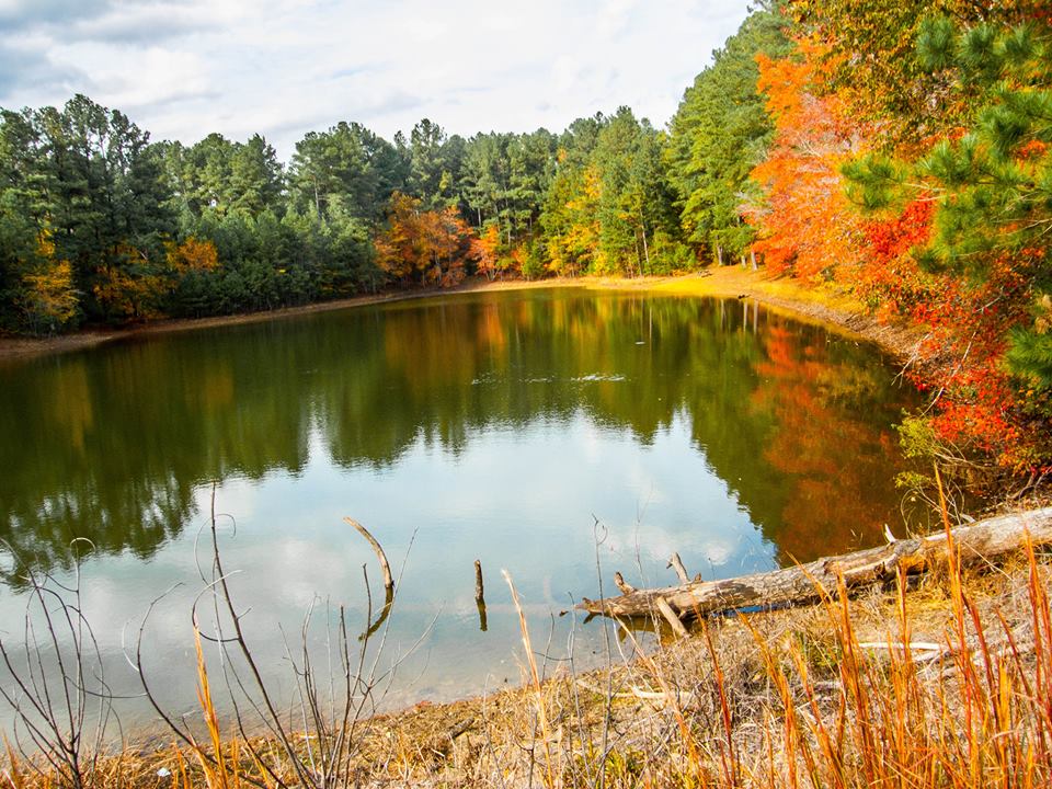 bowie nature park fall