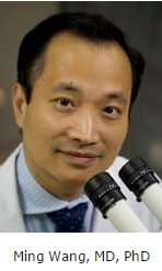 dr. ming wang