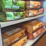 Now Dog Food
