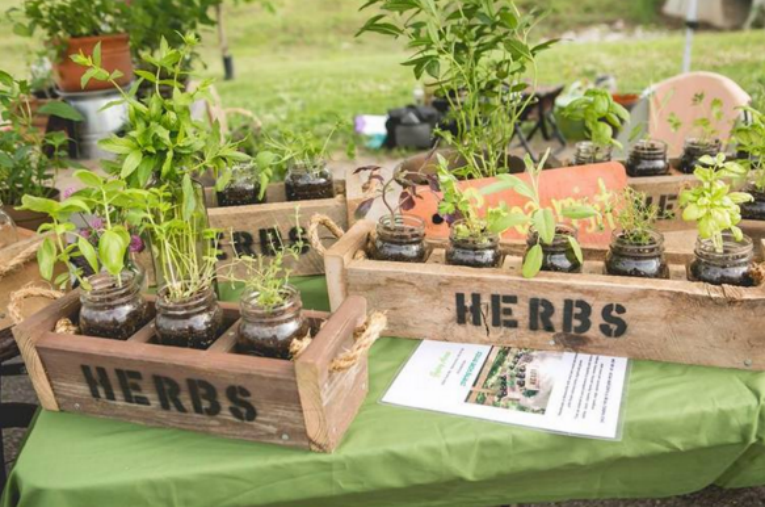 nolensville farmers market nolensville farmers market