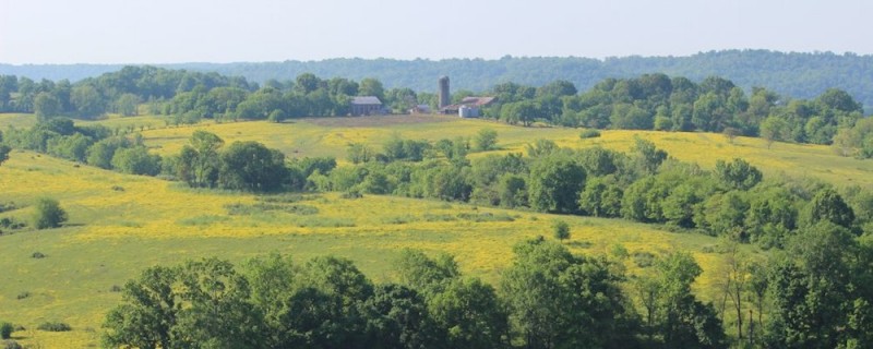 wide view of the Natchez Trace historic landscape