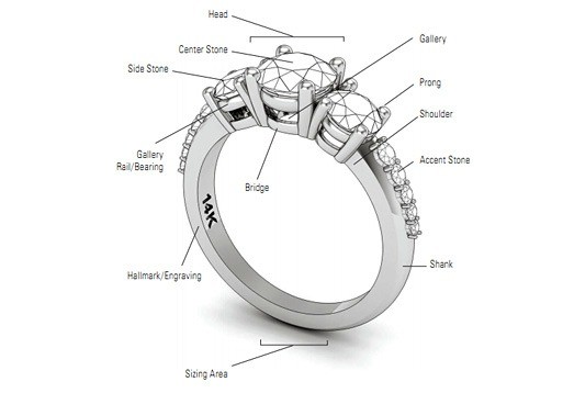 ring anatomy