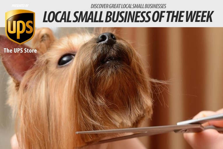 Haute Dogge Offers High End Grooming for Williamson County Pets - Williamson Source