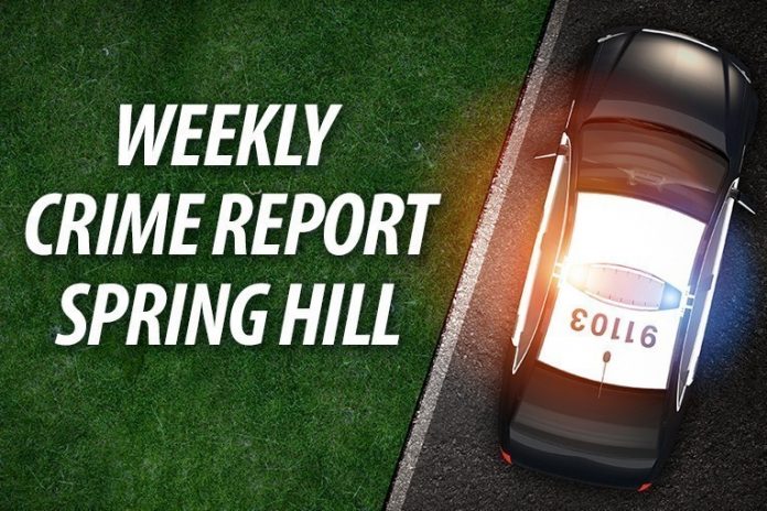 spring hill crime report