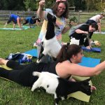 Goat Yoga Nashville class