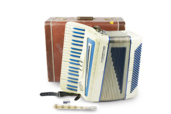 Marca D'oro Accordion with Carrying Case