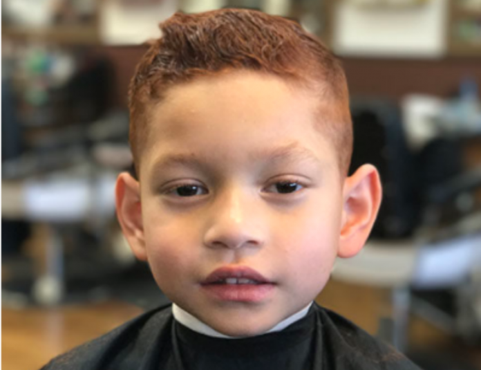 Luis Barber Classic Barbershop Spring Hill