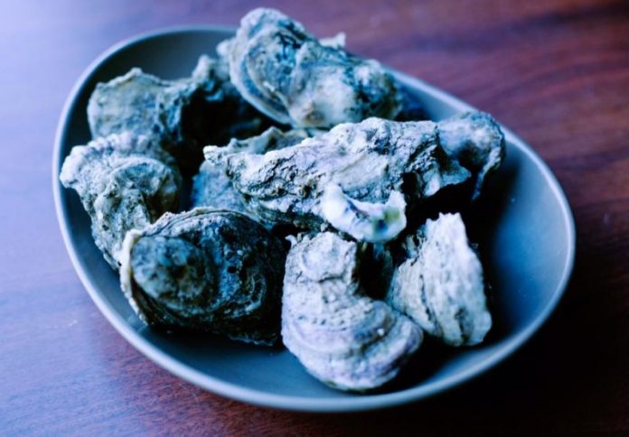 Gulf Oysters