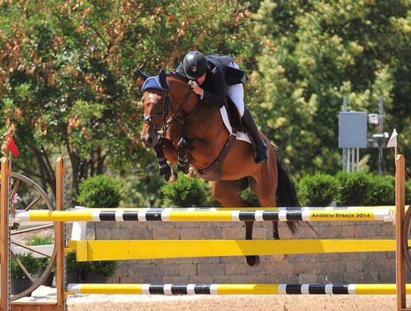 Brownland Farm Hosts Horse Shows Williamson Source