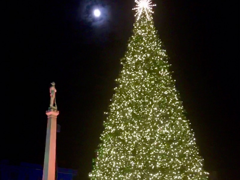 Franklin Tn Christmas Tree Lighting 2022 5 Things To Know About Franklin Christmas Tree Lighting - Williamson Source