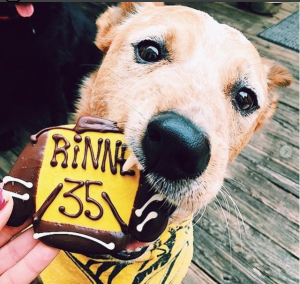 three dog bakery rinne cookie nashville predators