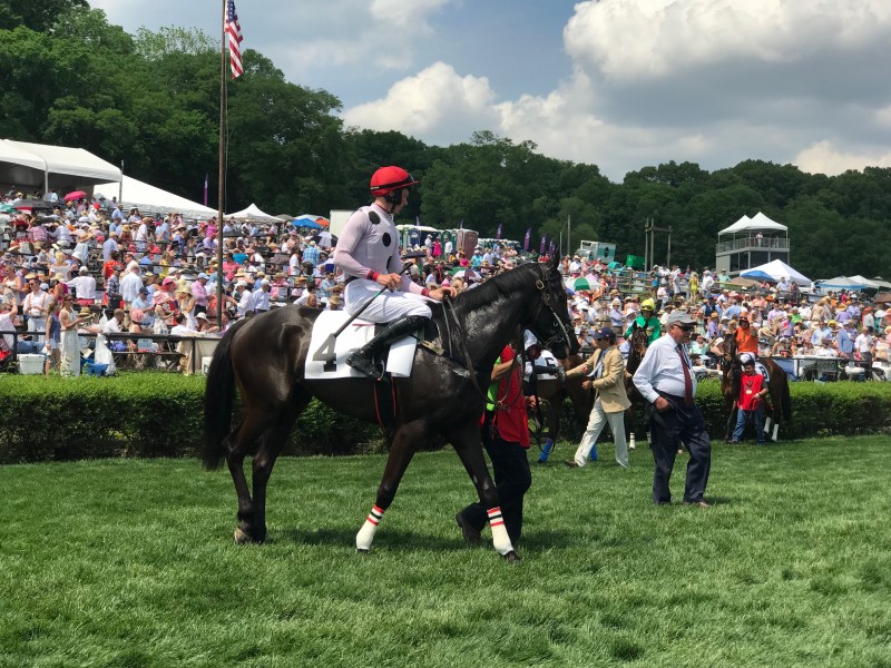 Steeplechase 2018