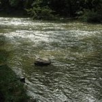 harpeth river