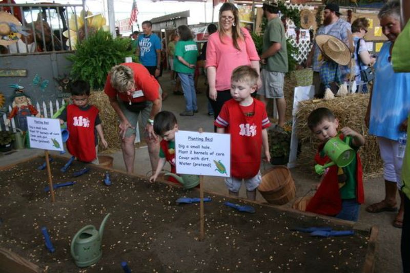 little 1s farming at williamson county fair