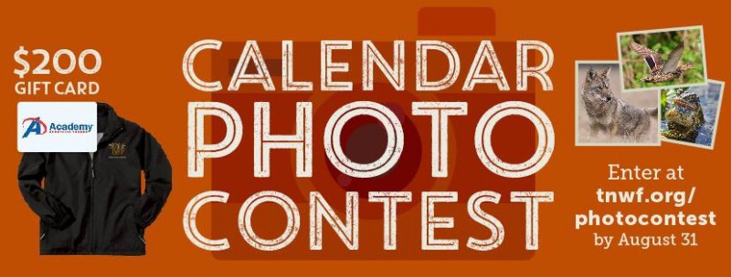 Photo Contest: Submit Your Best Wildlife Pictures Today Williamson