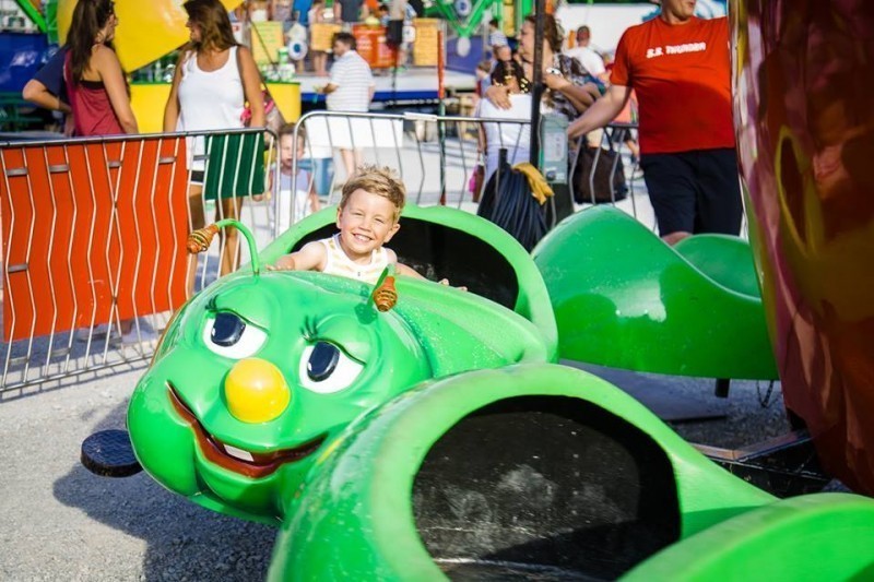 williamson county fair