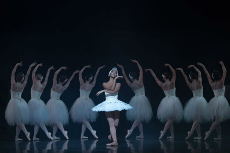 nashville ballet swan lake