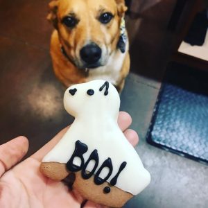 three dog bakery halloween treat