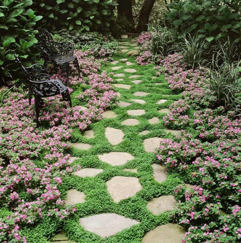 5 Best Ground Covers and How They Can Help with Landscaping