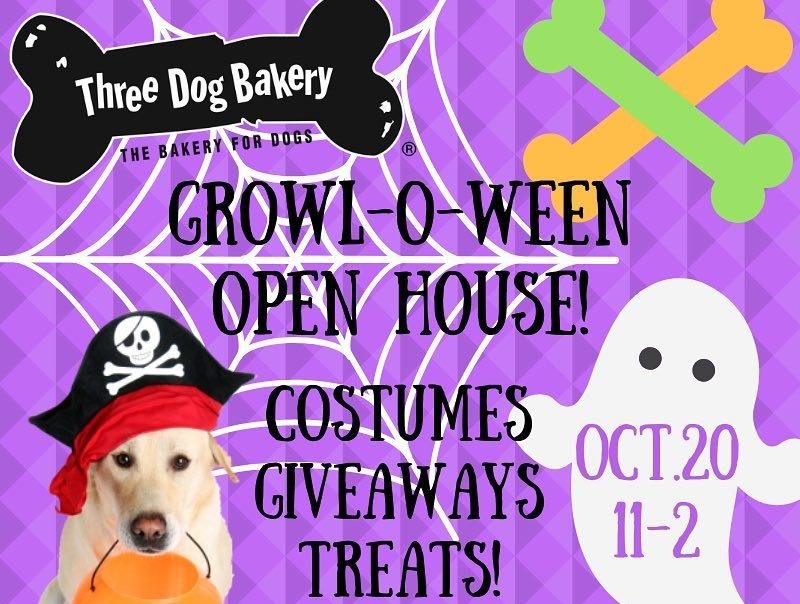 Halloween Fun at Three Dog Bakery Williamson Source