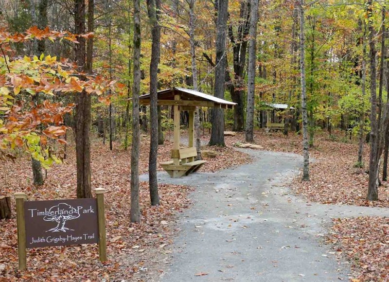 guided hike timberland park