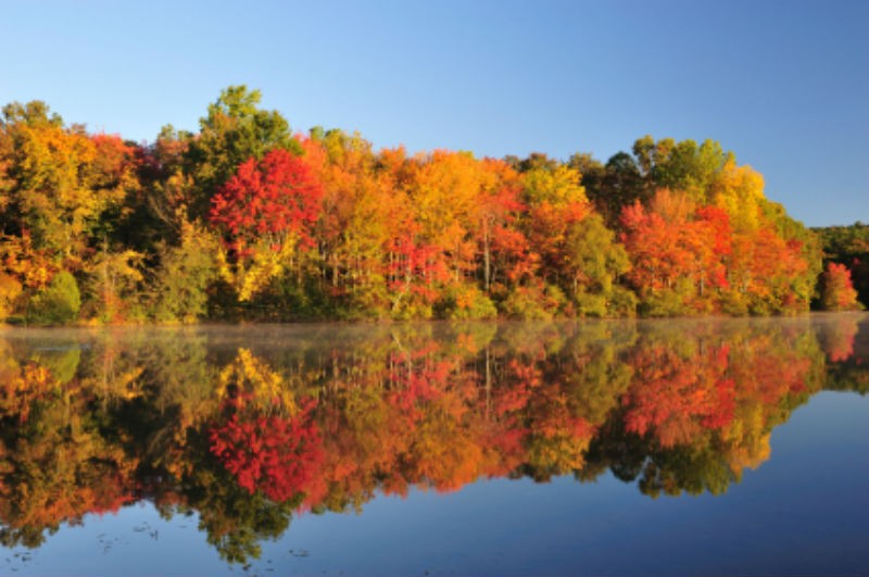 Tennessee River Boat Cruises