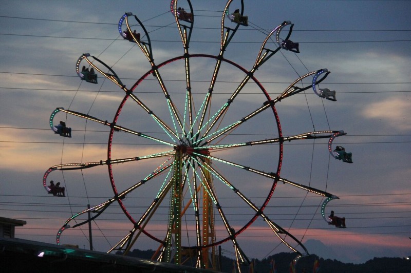 Williamson County Fair Claims Five Awards at Expo Williamson Source