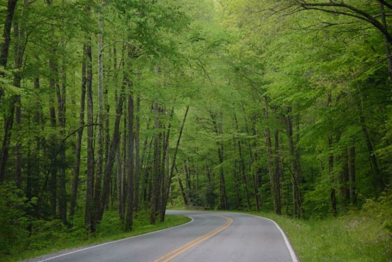 Newfound Gap Road, Tennessee and North Carolina