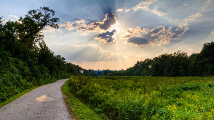 Peeler Park, Nashville