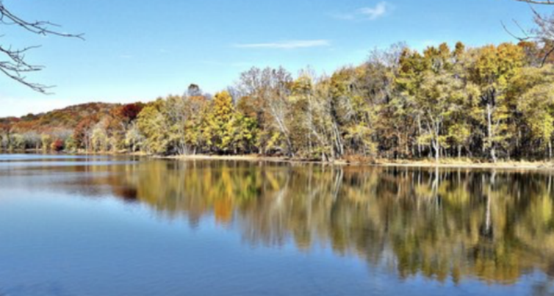 radnor lake