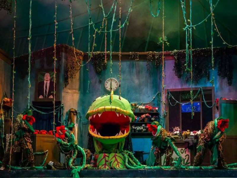 little shop of horrors