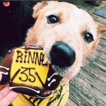 three dog bakery rinne cookie nashville predators