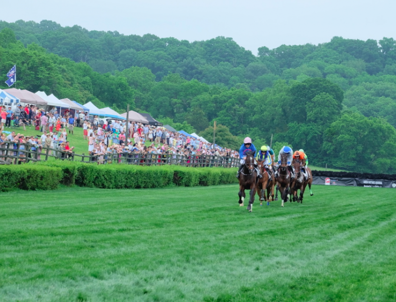 Photos: Steeplechase 2019 - Williamson Source