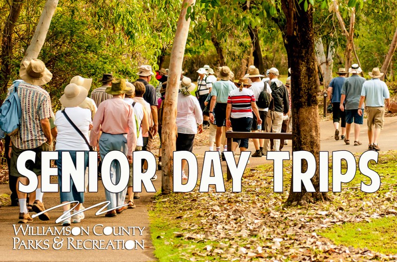walnut creek senior center day trips 2020