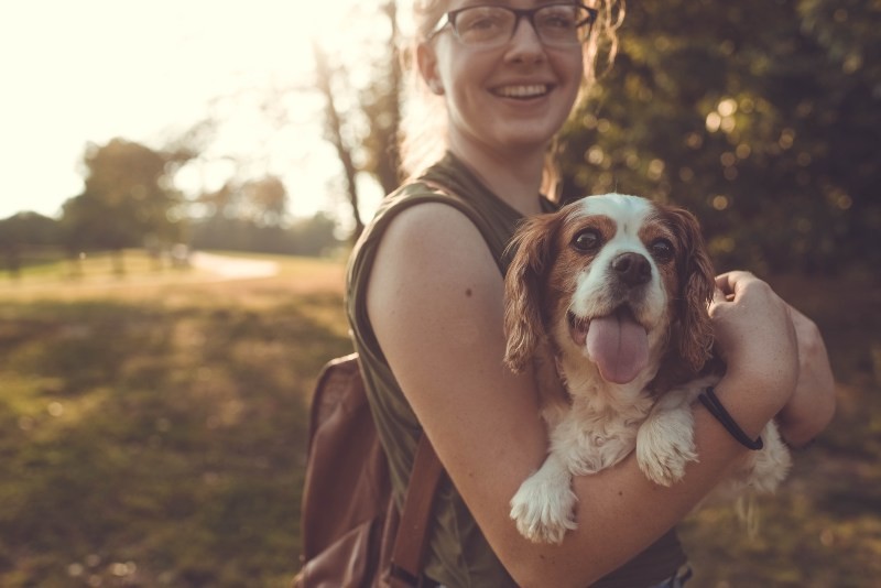 dog and girl