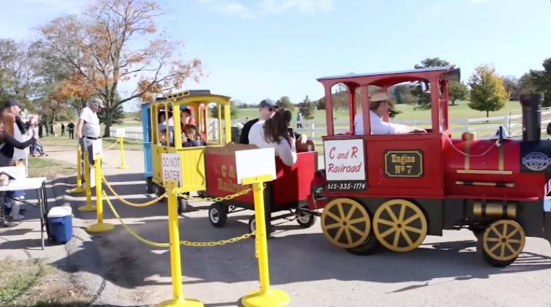 Family Day at Harlinsdale Park