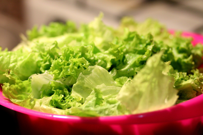CDC Investigates E. coli Outbreak Linked to California Lettuce